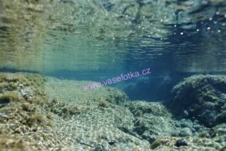 poster č.90054