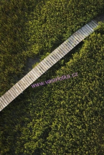 poster č.90072