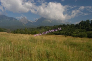 poster č.90155