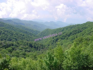 poster č.90265