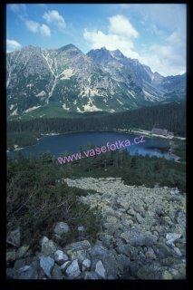 poster č.90275