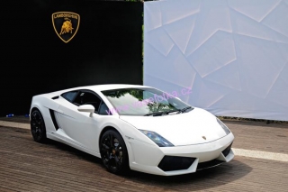 poster č.230058 Lamborghini