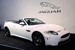 poster č.230111 Jaguar
