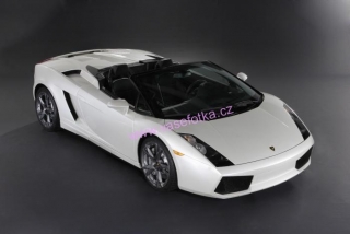 poster č.230286 Lamborghini Gallardo
