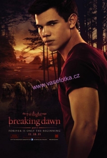 poster č.02088 The Twilight Saga - Breaking Dawn