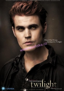 poster č.02096 Twilight