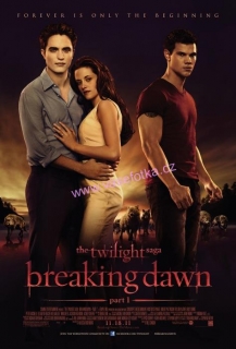 poster č.02098 Twilight Saga
